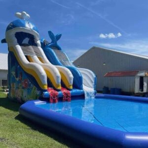 Splish, Splash, Whale-Sized Fun Awaits! 🐳
